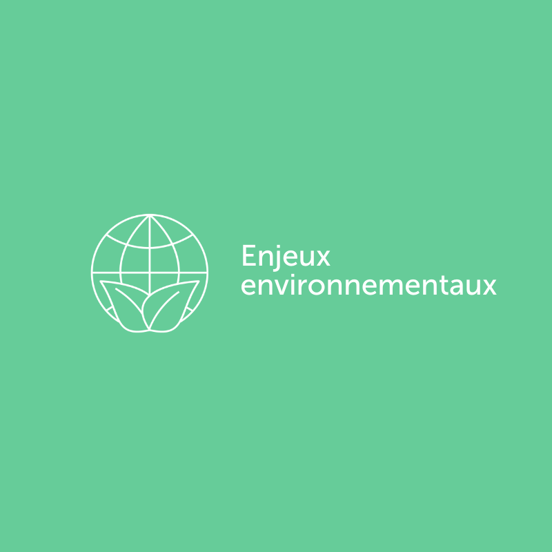 CK : Enjeux environnementaux